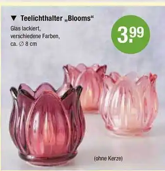 V Markt Teelichthalter „blooms“ Angebot