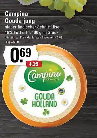 Meyer's Frischemarkt Campina gouda jung Angebot