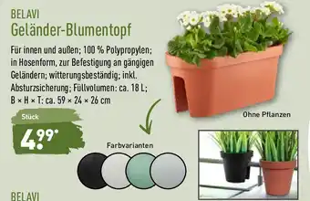 Aldi Nord Belavi Geländer Blumentopf Angebot