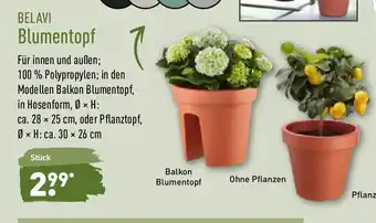 Aldi Nord Belavi Blumentopf Angebot