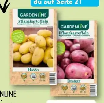 Aldi Nord Premium-pflanzkartoffeln Angebot