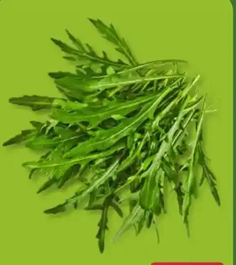 Aldi Nord Rucola Angebot