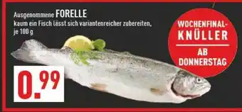 Marktkauf Forelle Angebot