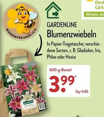 Aldi Nord Gardenline Blumenzwiebeln 600 g Beutel Angebot