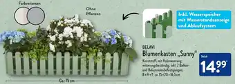 Aldi Nord Belavi Blumenkasten Sunny Angebot