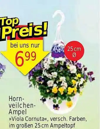 Wiglo Wunderland Hornveilchen-ampel „viola cornuta“ Angebot