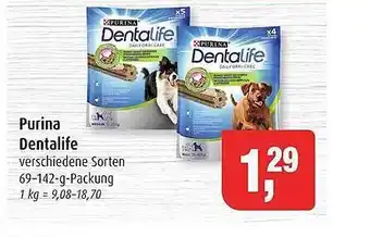 Markant Purina dentalife Angebot