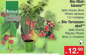 Zimmermann Bio-obstbäume oder bio-terrassenobst Angebot