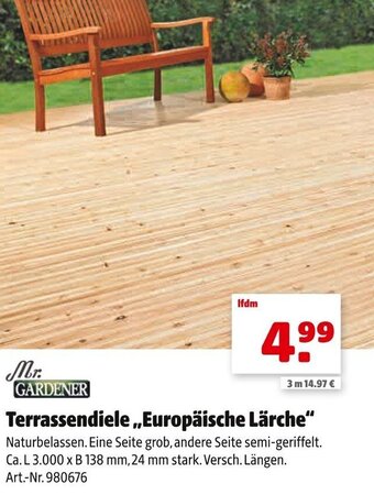 Hagebau Mr. Gardener Terrassendiele Europäische Lärche Angebot