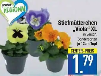 E-Center Stiefmütterchen „viola“ xl Angebot