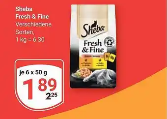 Globus Sheba fresh & fine Angebot