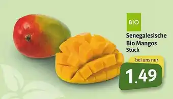 Markant Senegalesische Bio Mangos Angebot