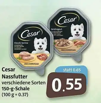 Markant Cesar Nassfutter Angebot