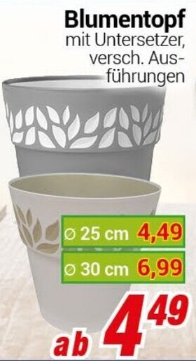 CENTERSHOP Blumentopf Angebot