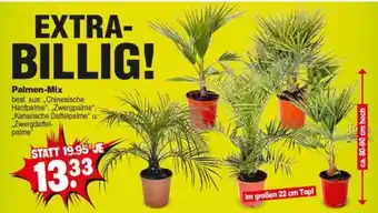 Repo Markt Palmen-Mix Angebot