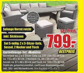 B1 Discount Baumarkt Gartenloungeset madeira Angebot