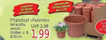 Wiglo Wunderland Pflanztopf palermo Angebot