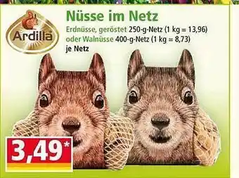 Norma Ardilla nüss im netz Angebot