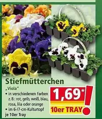 Norma Stiefmütterchen „viola“ Angebot