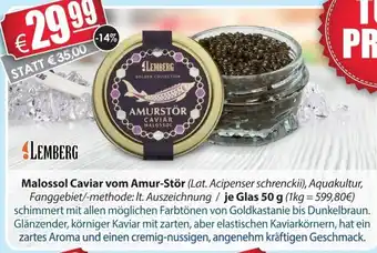 LEDO Lemberg Malossol Caviar vom Amur-Stor 50g Angebot