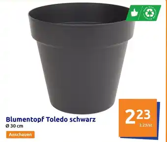 Action Blumentopf Toledo Angebot