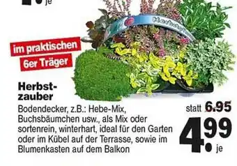 Repo Markt Herbstzauber Angebot