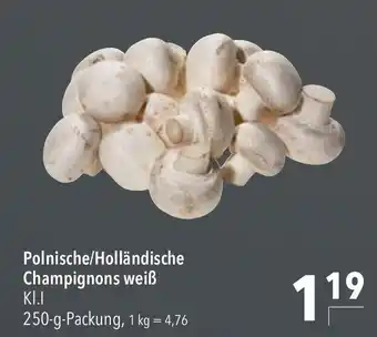 CITTI Markt Champignons weiB 250 g Angebot