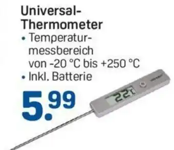 Rossmann Universal Thermometer Angebot