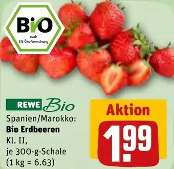 REWE Bio Erdbeeren 300 g Schale Angebot