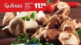 Handelshof Shiitake Pilze / Krauterseitlinge Angebot