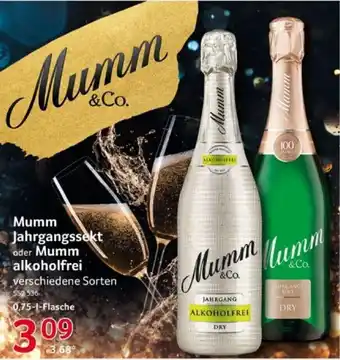 Selgros Mumm Jahrgangssekt o. Mumm alkoholfrei 750 ml Angebot