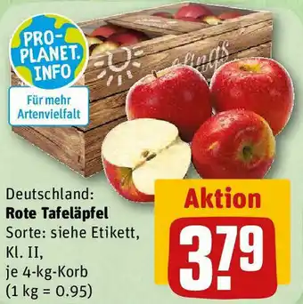 REWE Rote Tafeläpfel 4 kg Korb Angebot