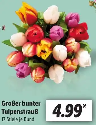 Lidl Großer bunter Tulpenstrauß 17 Stiele Angebot