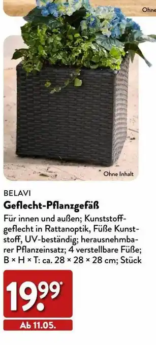 Aldi Nord Belavi geflecht-pflanzgefäß Angebot