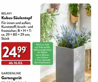 Aldi Nord Belavi kubus-säulentopf oder gardenline gartengerät Angebot