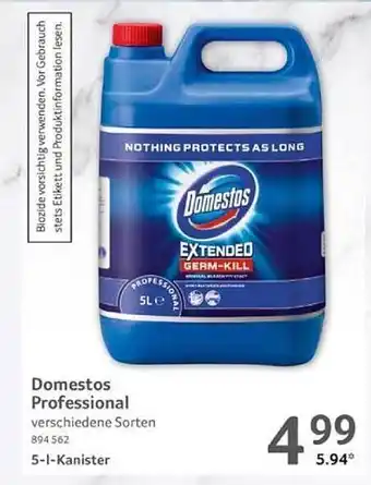 Selgros Domestos professional Angebot