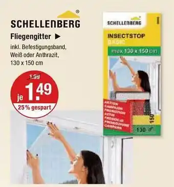 V Markt Schellenberg fliegengitter Angebot