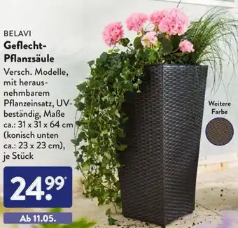 Aldi Süd Belavi Geflecht Pflanzsäule Angebot