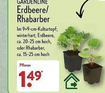 Aldi Nord Gardenline erdbeere oder rhabarber Angebot