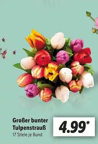 Lidl Großer bunter tulpenstrauß Angebot