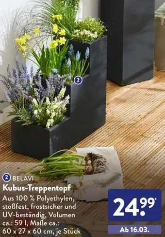 Aldi Süd Belavi Kubus Treppentopf Angebot