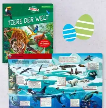Aldi Nord Buch kinderwissen Angebot