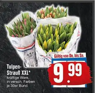 Edeka Tulpen Strauẞ XXL Angebot