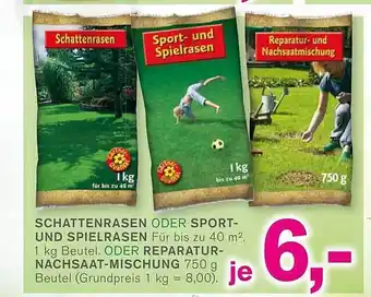 KODi Schattenrasen oder sport- und spielrasen oder reparaturnachsaat-mischung Angebot