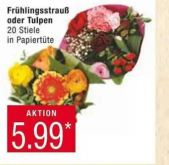 Marktkauf Frühlingsstrauß oder tulpen Angebot