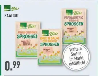 Marktkauf Edeka bio saatgut Angebot