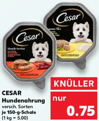 Kaufland Cesar Hundenahrung 150 g Schale Angebot