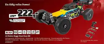 Conrad Re3ly 1:8 Elektro Buggy Giant Buzz Rtr Angebot