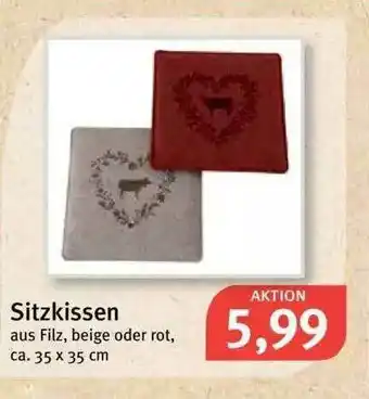 Feneberg Sitzkissen Angebot