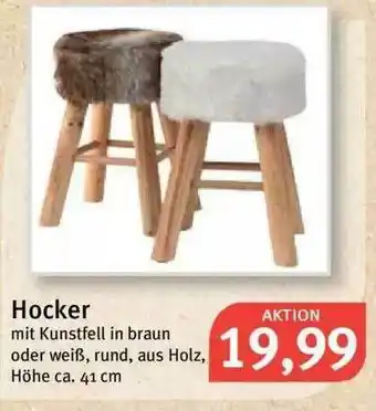 Feneberg Hocker Angebot